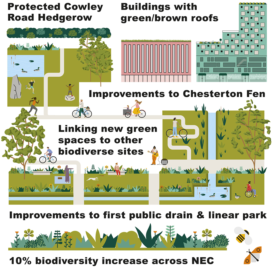 Infographic showing approach to achieving biodiversity net gain proposed by the Area Action Plan.